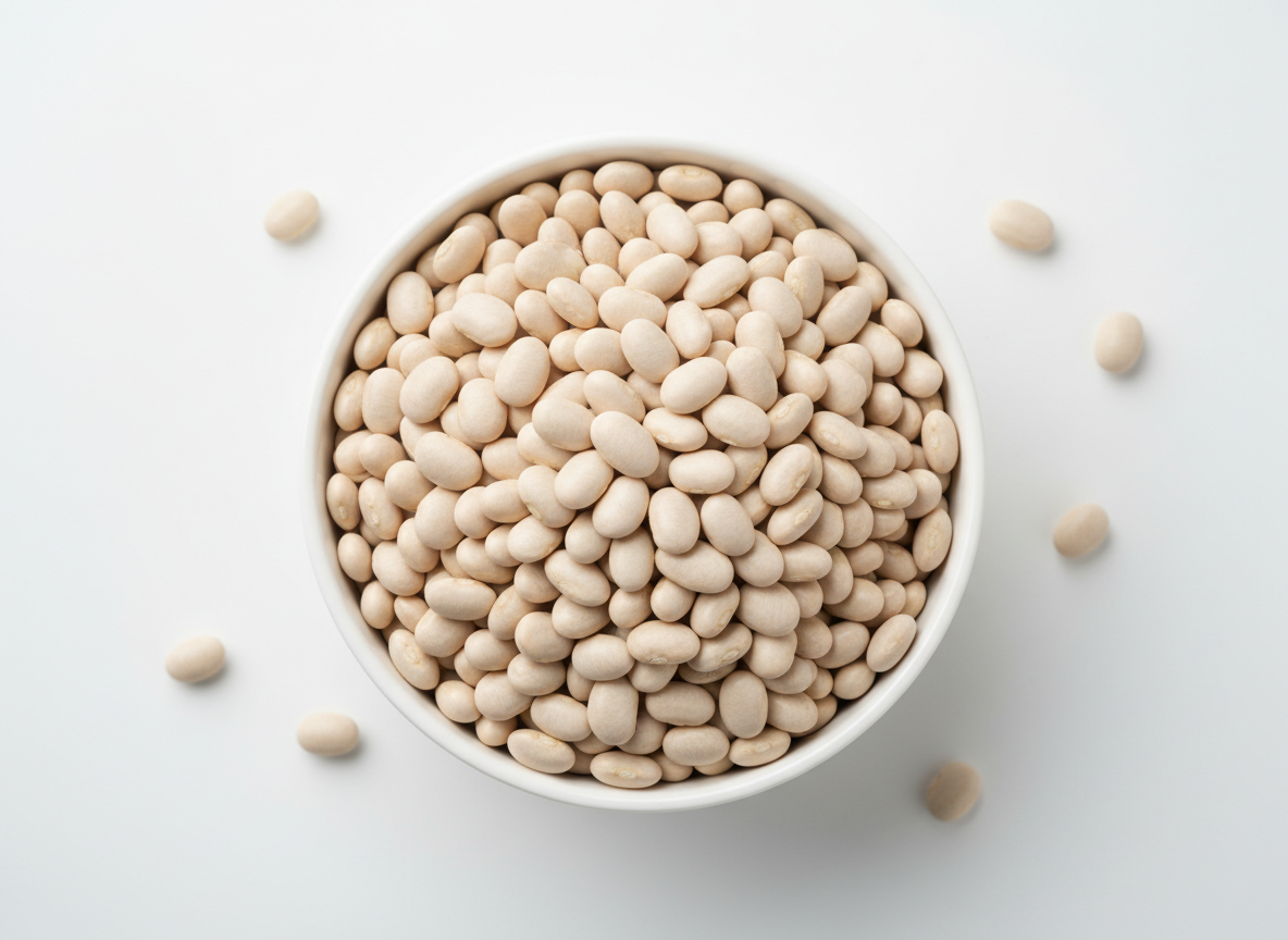 Navy beans in a white ceramic bowl on a clean white background