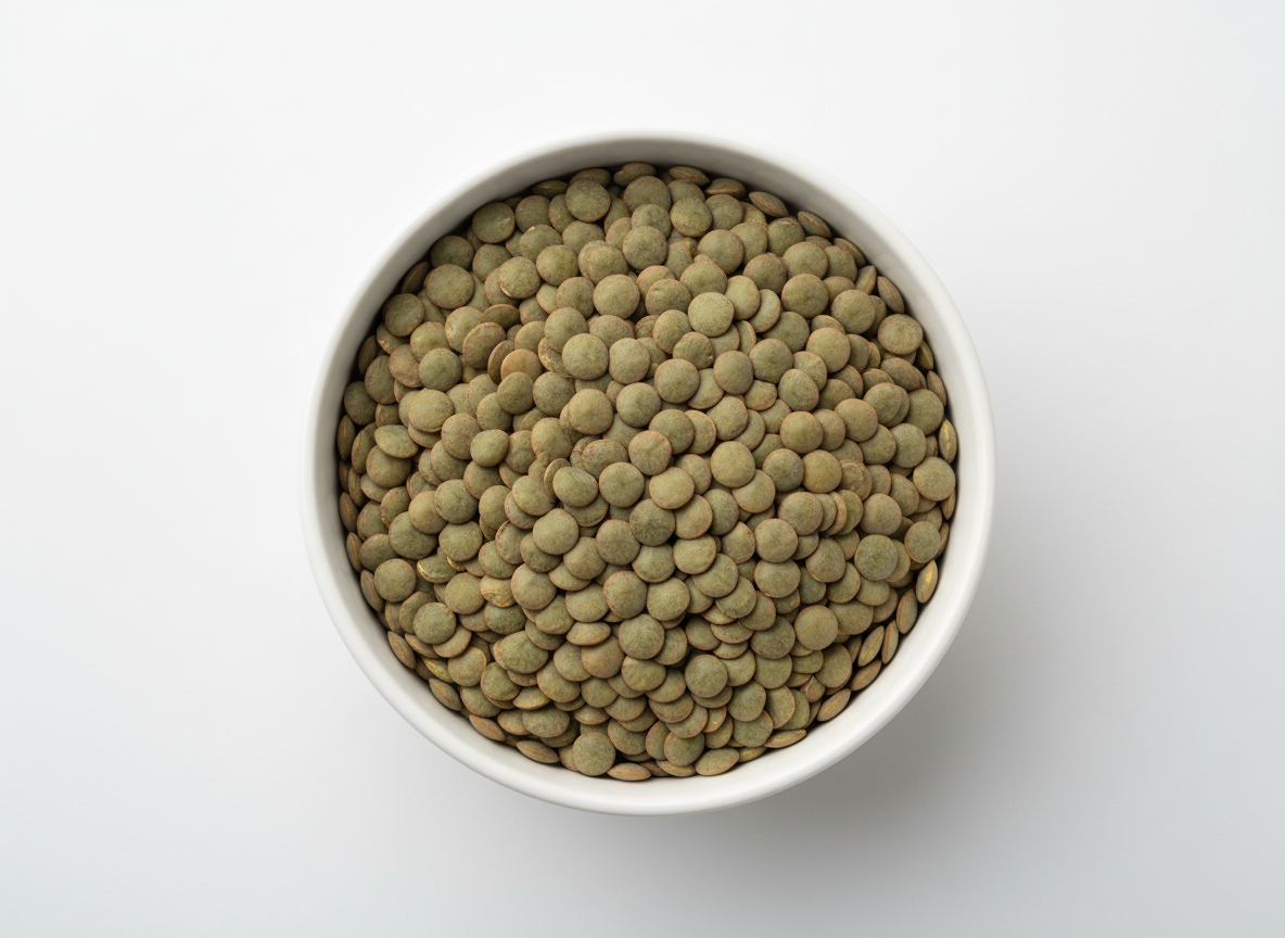 Green lentils in a white ceramic bowl on a clean white background